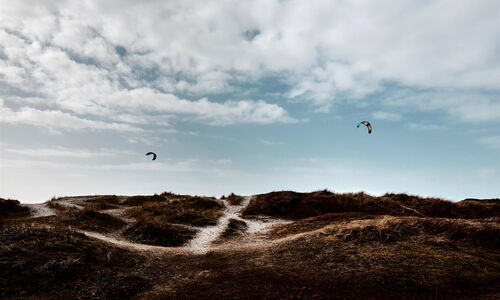 Photo : une plage le matin avec des parachutistes ascensionnels qui décollent