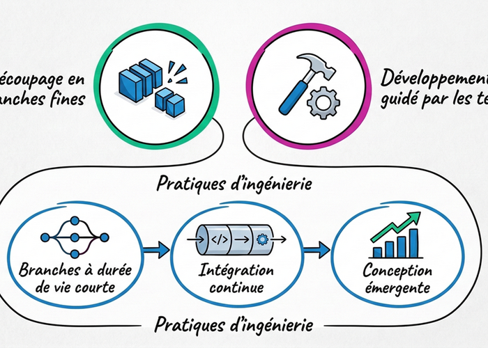 Schéma : Représentation des 3 piliers du delivery agile
