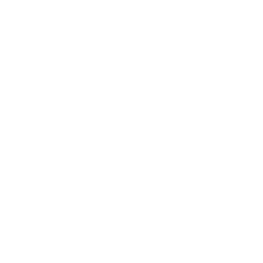 Icone : Séniorité et expérience